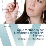  Agile Methoden zur Einführung eines ERP-Systems: am Beispiel einer Internetagentur [Taschenbuch] 